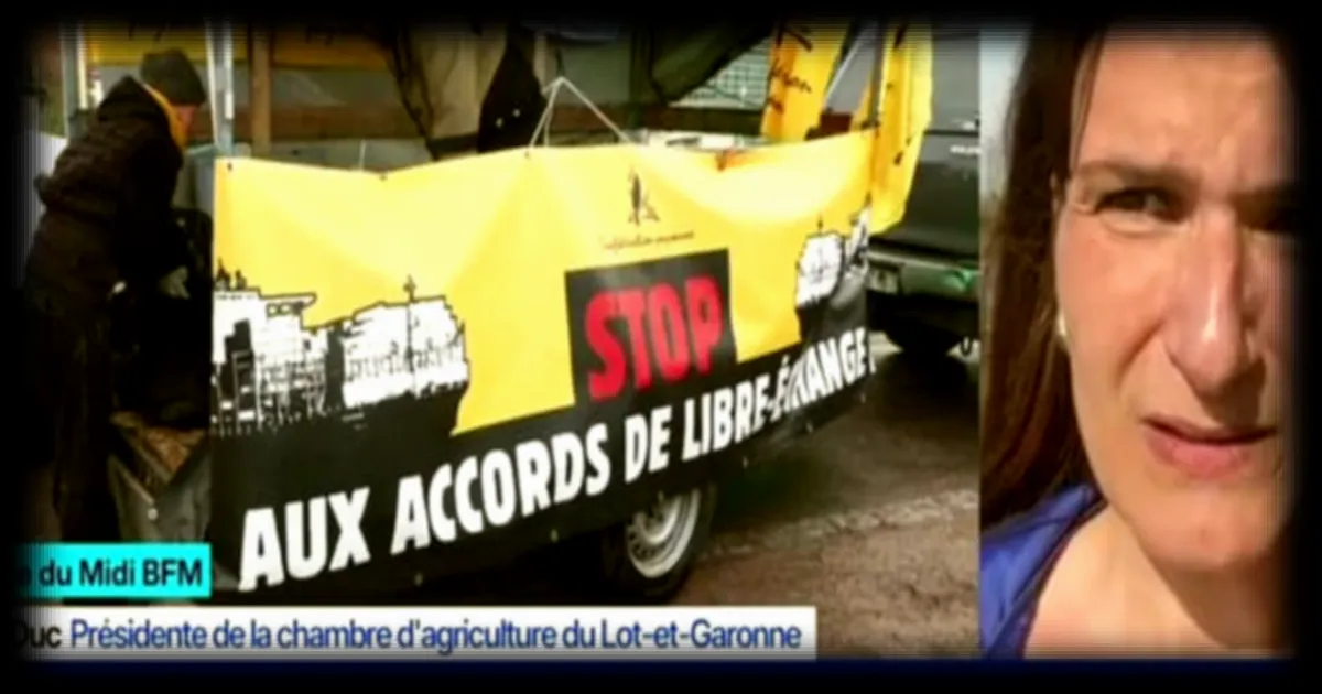 L'application du Mercosur : les représentants français n'ont plus les cartes en main selon Karine Duc