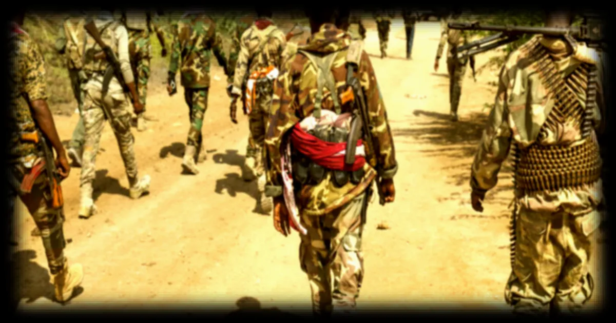 L'armée fédérale somalienne prend le contrôle de la capitale de l’État du Sud-Ouest après la démission de son président