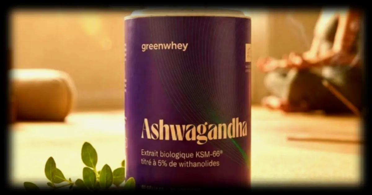 L'ashwagandha : une plante aux vertus anti-stress confirmées par la science