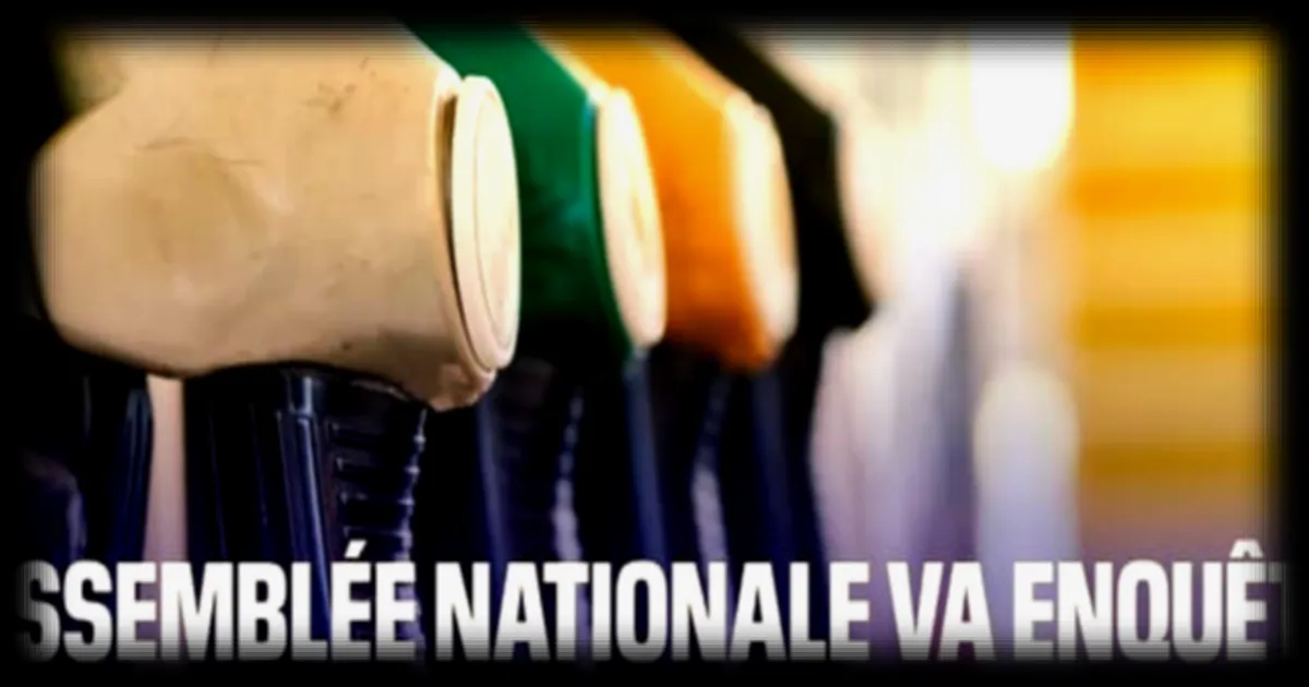 L'Assemblée nationale va enquêter sur la crise des carburants