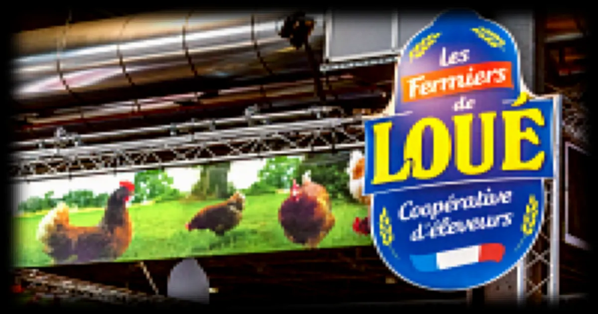 LDC : Les résultats annuels attendus avec optimisme grâce à la hausse de la consommation de volaille
