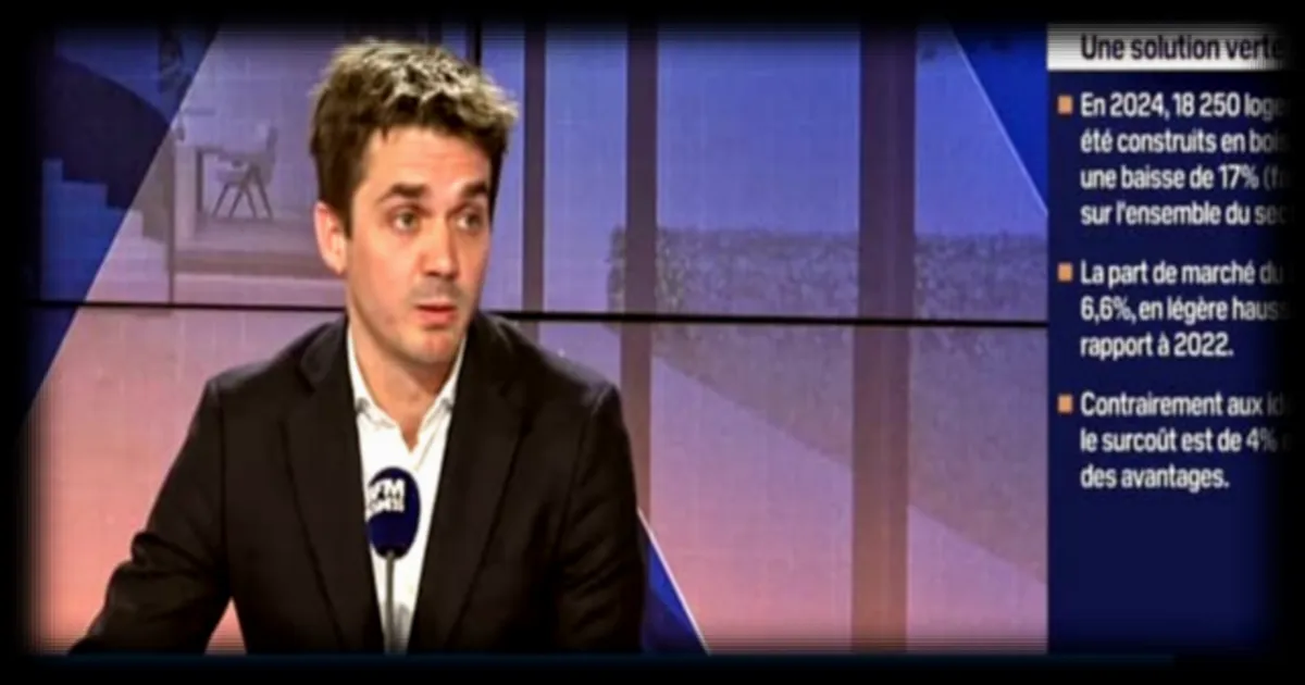 Le boom de la construction bois : une solution d'avenir selon BFM Business