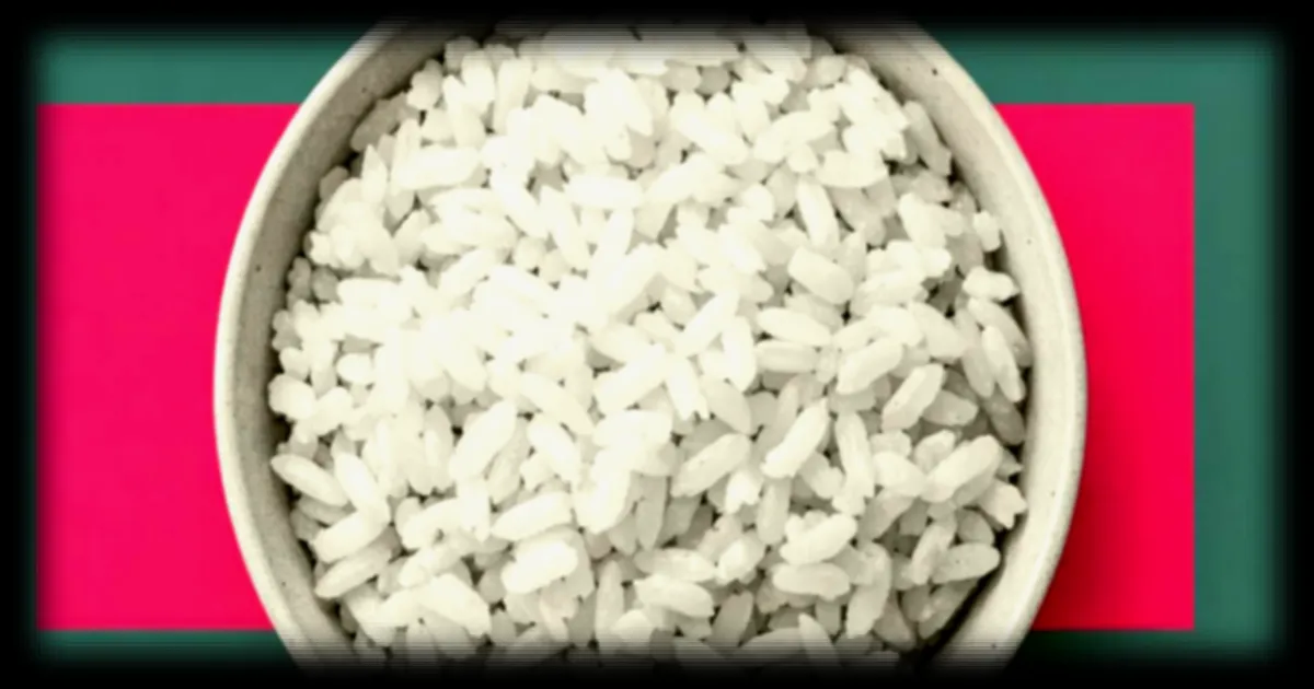 Le cadmium dans le riz : une étude alerte sur les risques pour la santé