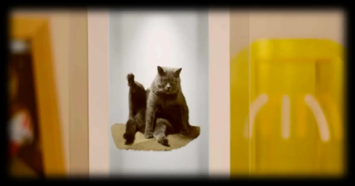 Le cadre photo Musubi peut transformer vos images en hologrammes à un prix inattendu