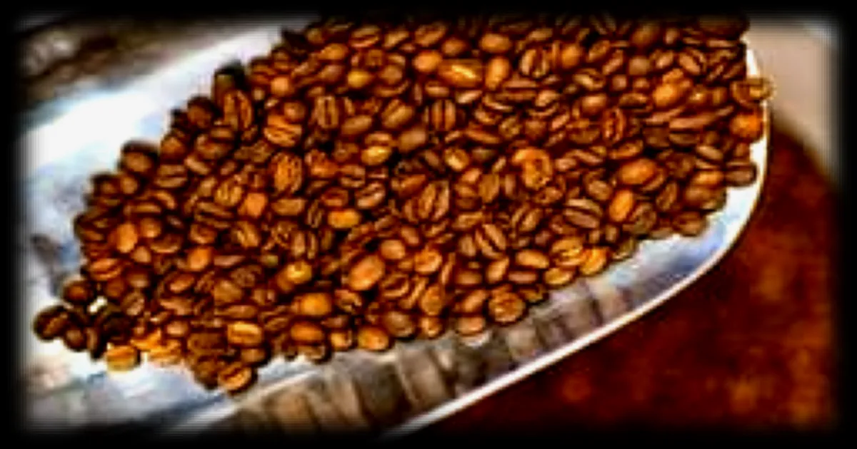 Le café améliorerait le bien-être mental et l’équilibre intestinal, selon une étude irlandaise