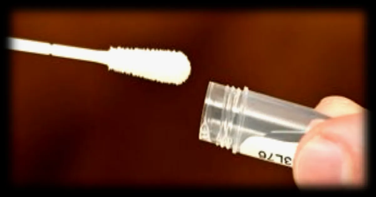 Le Cese propose de légaliser les tests ADN pour les origines familiales, sous strict encadrement