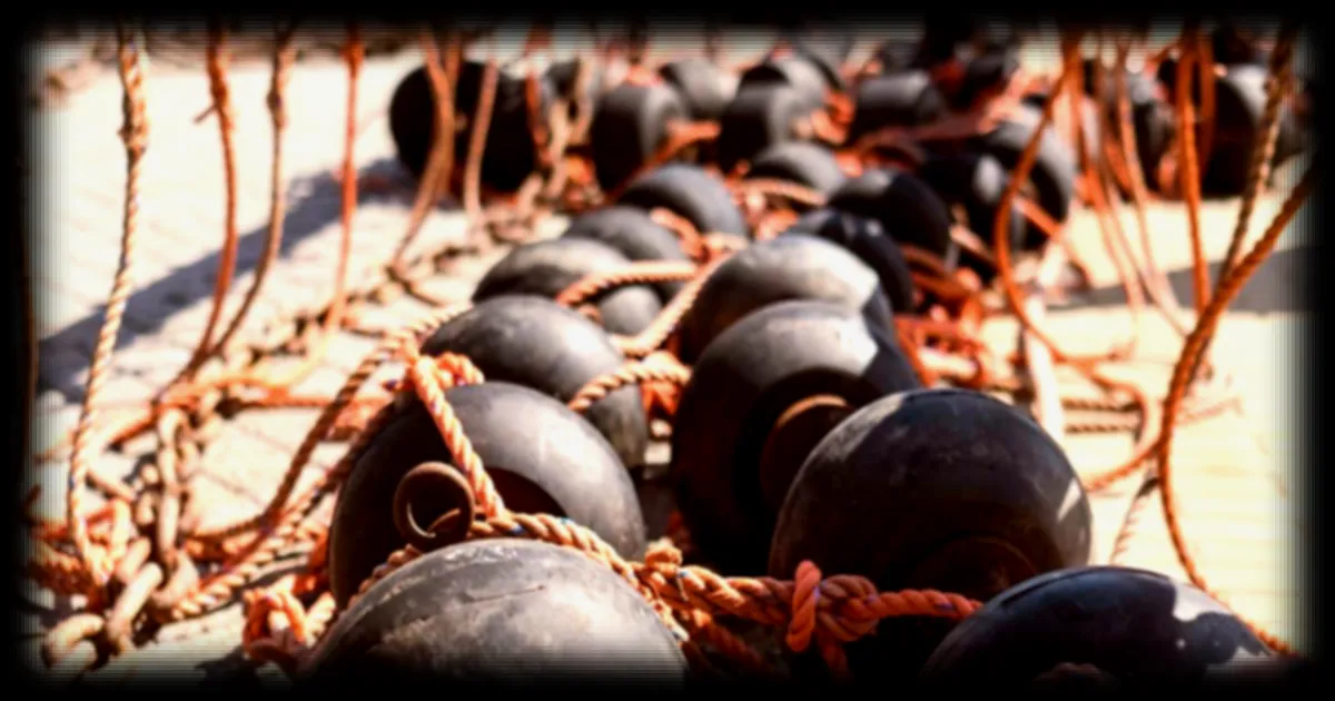 Le chalutage de fond en Europe : un désastre écologique et économique évalué à 16 milliards d'euros par an