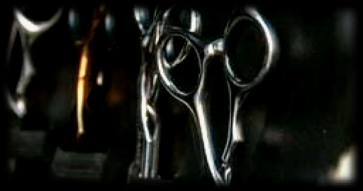 Le championnat d'Europe de coupe mulet quitte la Creuse pour la Haute-Vienne