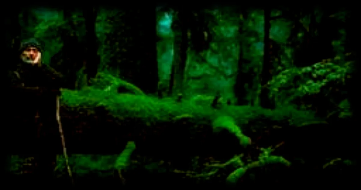 Le Chant des forêts de Vincent Munier : un succès remarquable au cinéma