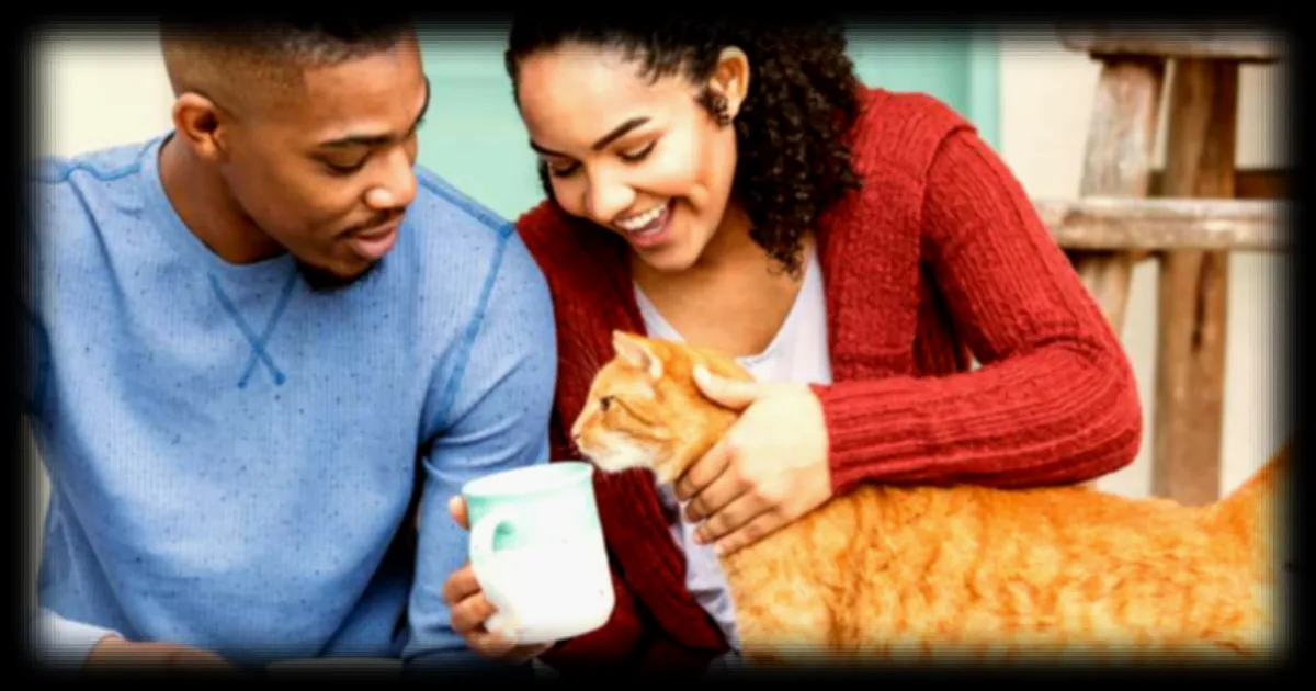 Le chat, un membre de la famille : ce que les études révèlent sur notre attachement aux félins