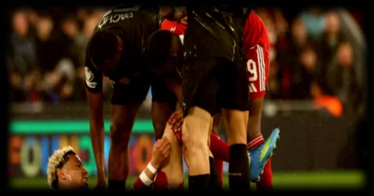 Le chirurgien Ronny Lopes fait le point sur la convalescence d'Hugo Ekitike, victime d'une rupture du tendon d'Achille