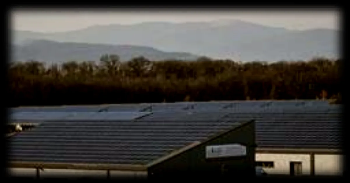 Le choc pétrolier met en lumière notre dépendance : quel impact sur la transition énergétique ?