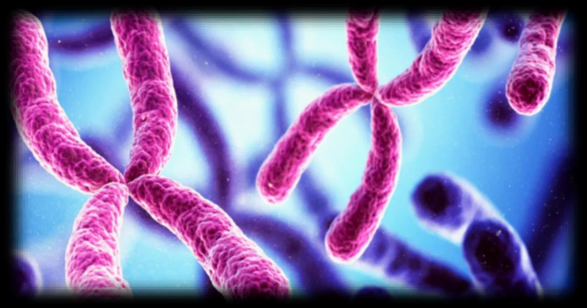 Le chromosome X des femmes : un possible effet protecteur contre l'autisme ? Nouvelle étude génétique relance le débat