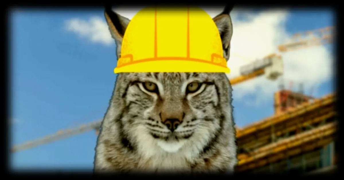 Le cri d’alerte du lynx s’invite sur les chantiers urbains : une innovation silencieuse mais efficace