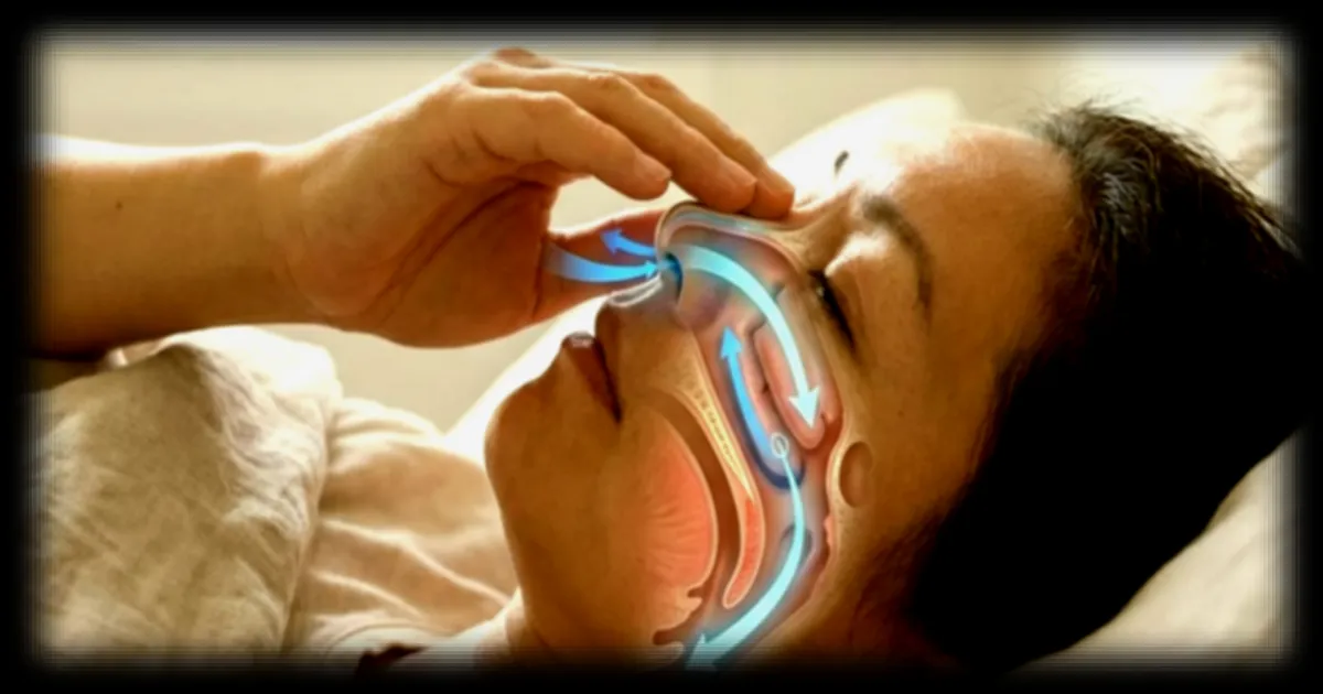 Le cycle nasal : pourquoi votre corps alterne vos narines toutes les deux heures