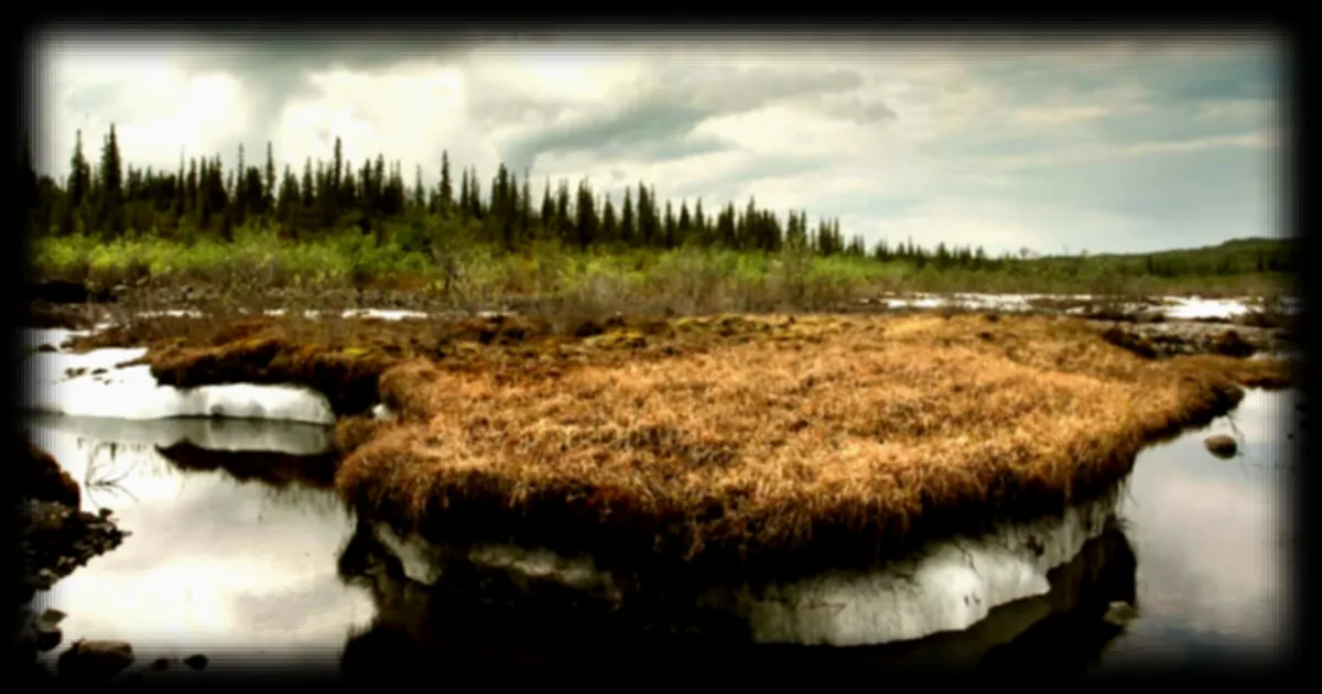 Le dégel du pergélisol : un risque majeur pour le climat selon des études récentes
