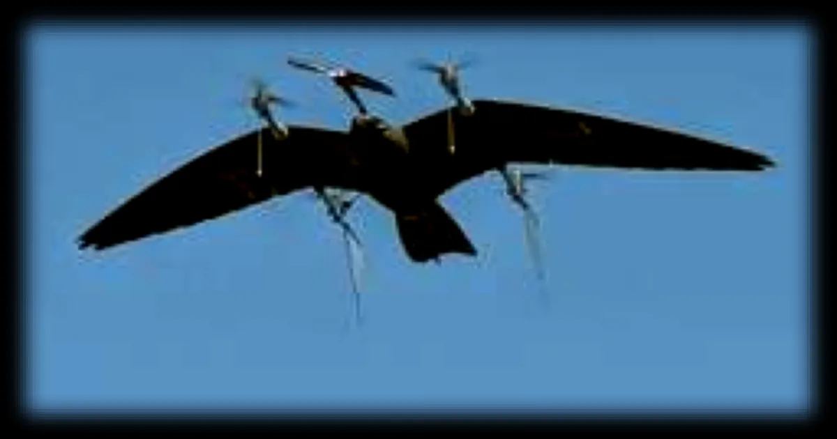 Le drone-faucon français qui chasse les oiseaux en quatre minutes : une solution innovante pour les vignes et aéroports