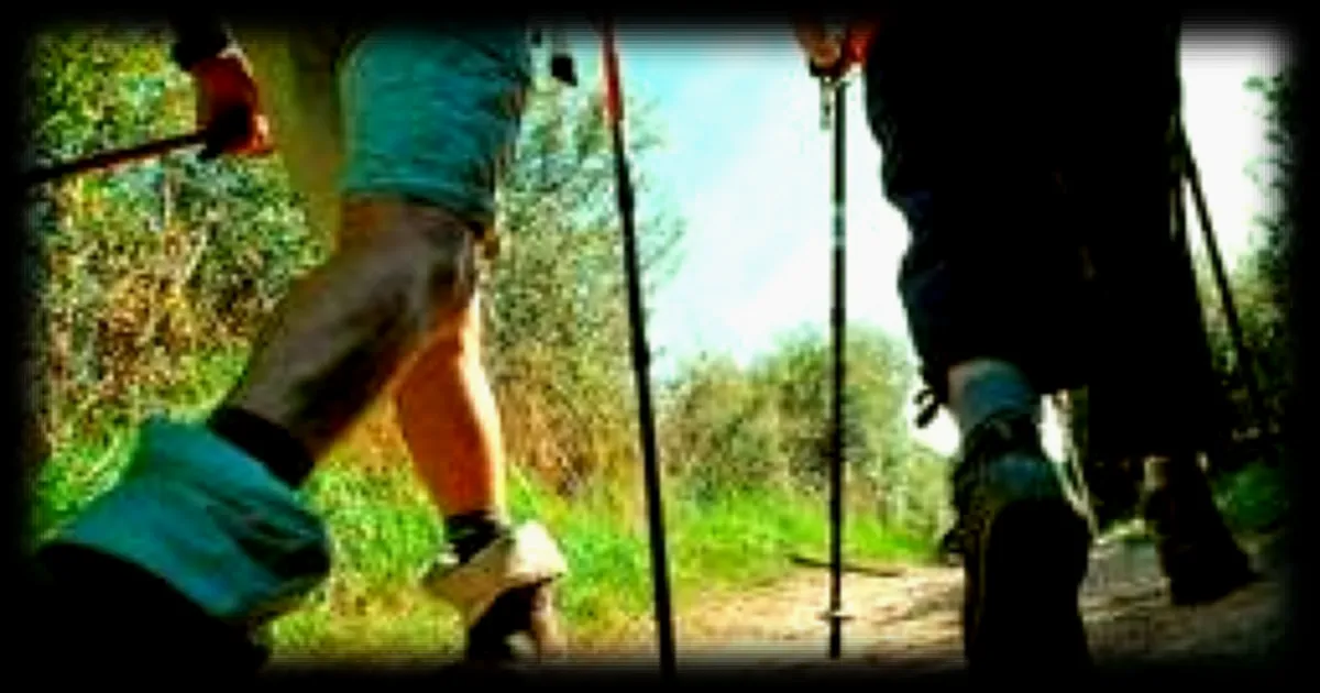 Le fast-hiking : une nouvelle pratique dynamique qui secoue le monde de la randonnée