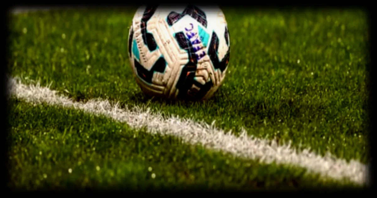 Le FC Chalon abandonne son projet de montée en Ligue 2 après seulement deux ans