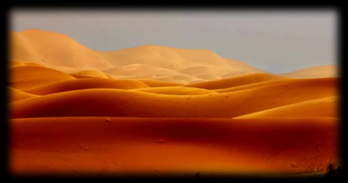 Le Fennec : petit renard du Sahara aux nuits extrêmes