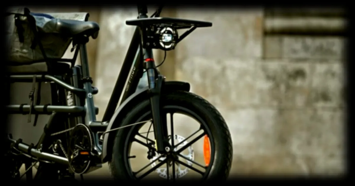 Le Fiido T2, un vélo cargo abordable qui transporte 2 enfants sur 50 km