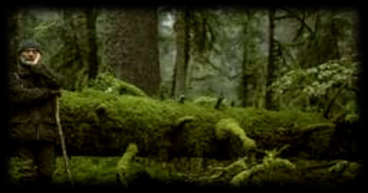 Le film "Le chant des forêts" de Vincent Munier remporte le César du meilleur documentaire