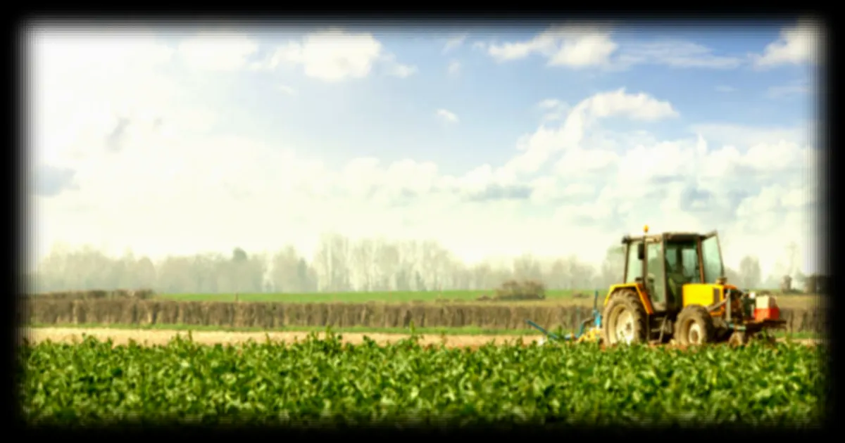 Le fluazinam, un pesticide autorisé par l'UE, aurait des conséquences sur le cerveau
