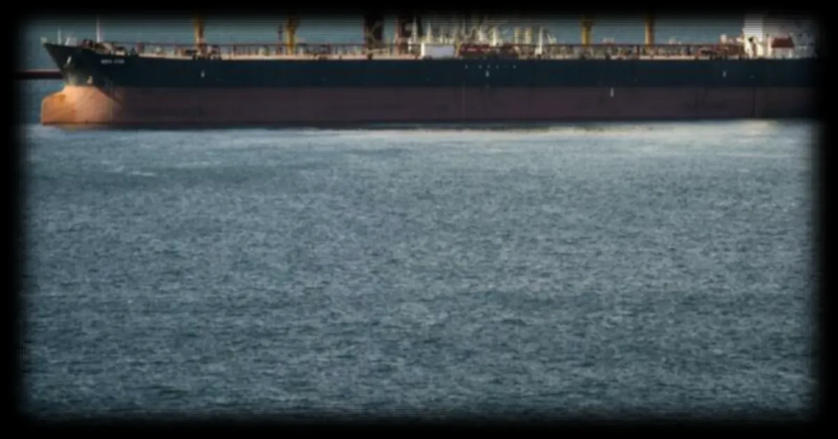 Le Gabon rompt le contrat de gestion de son pavillon par Intershipping suite à des pressions internationales