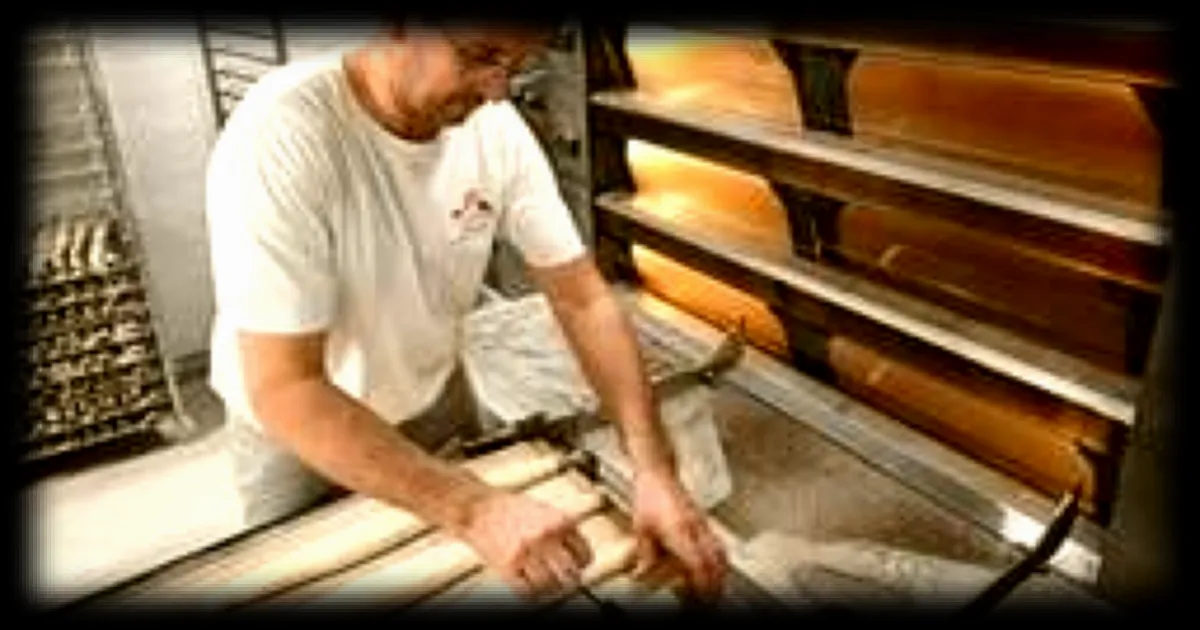 Le gouvernement détaille son plan d'électrification, principalement financé par les consommateurs