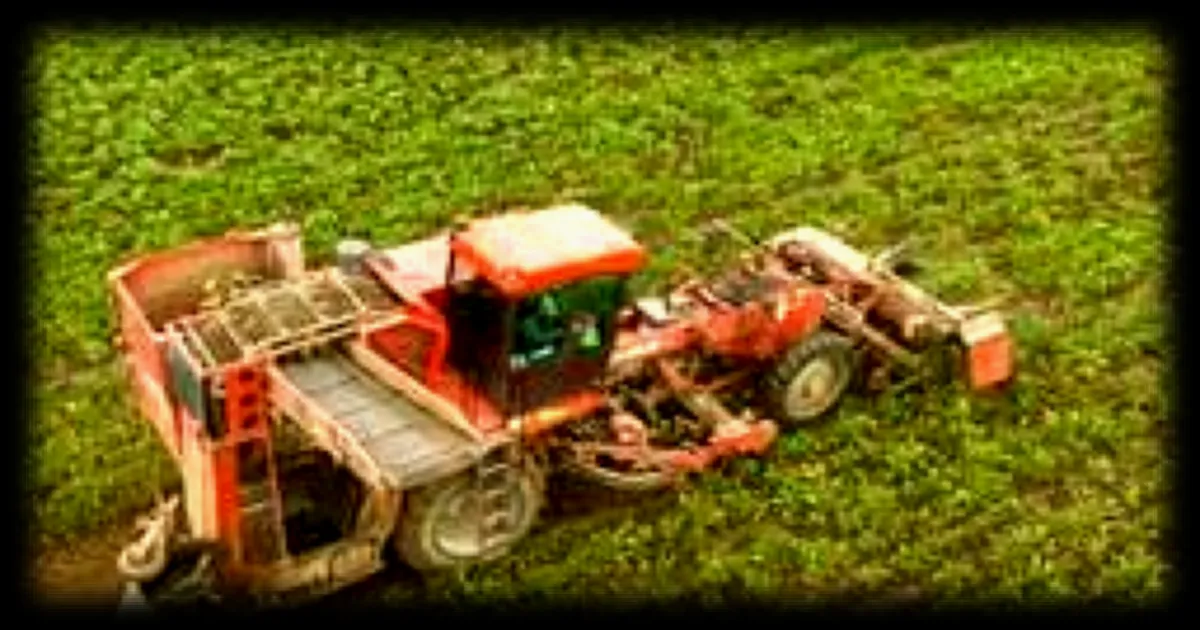 Le gouvernement prepare un decret pour reduire progressivement les limites maximales de cadmium dans les engrais