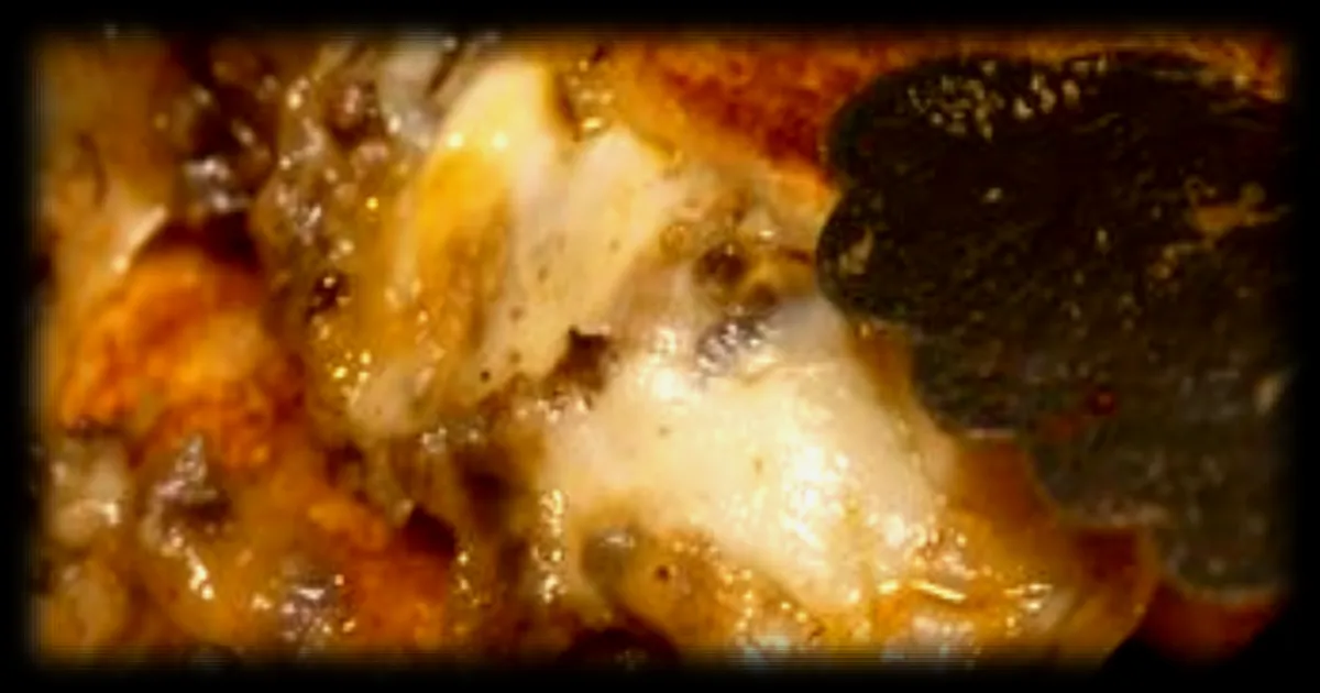 Le haggis toastie : un sandwich traditionnel écossais à la panse de brebis qui séduit les gourmands