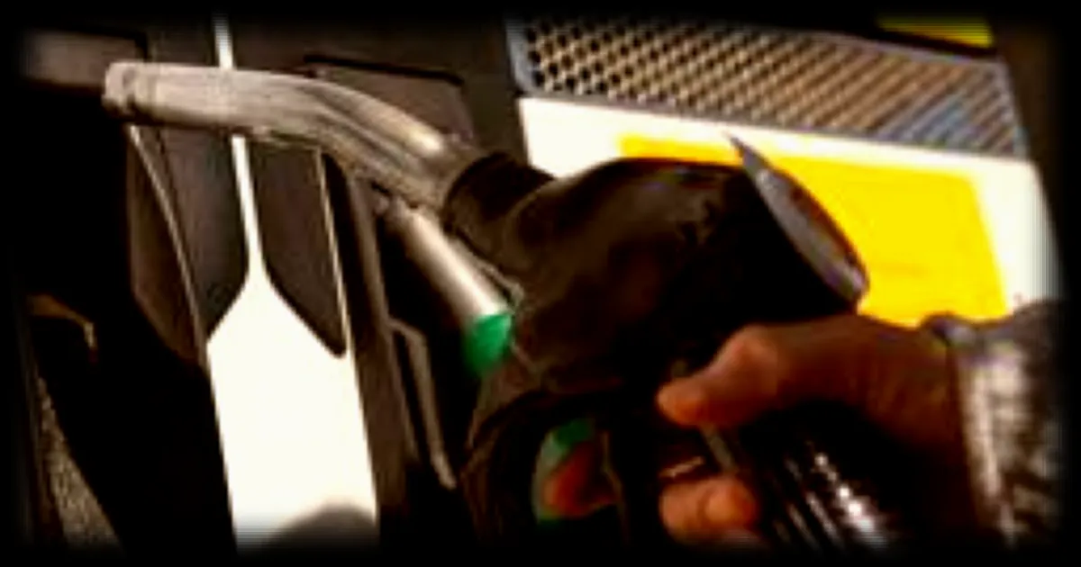 Le Haut conseil pour le climat demande au gouvernement un plan précis pour sortir des énergies fossiles