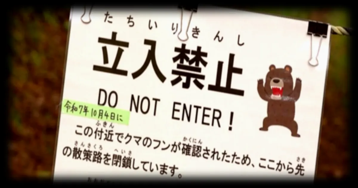 Le Japon decide de chasser plus de 10 000 ours suite a une vague record d'attaques en 2025