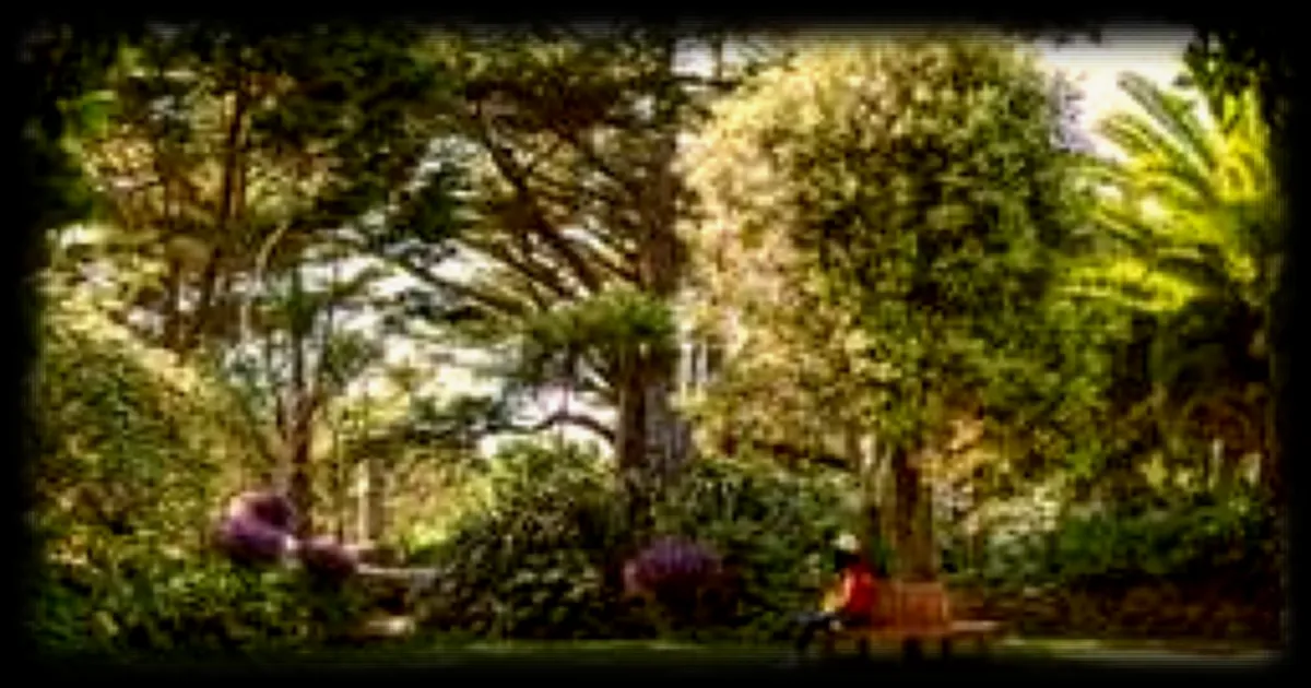 Le jardin d'acclimatation Georges Delaselle sur l'île de Batz : un havre tropical au cœur de la Bretagne