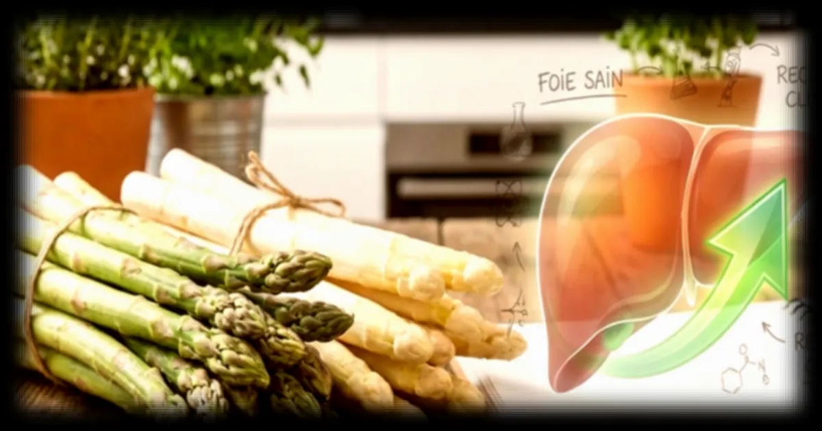 Le légume d'avril qui booste le foie: 70% de toxines éliminées, selon une étude sud-coréenne