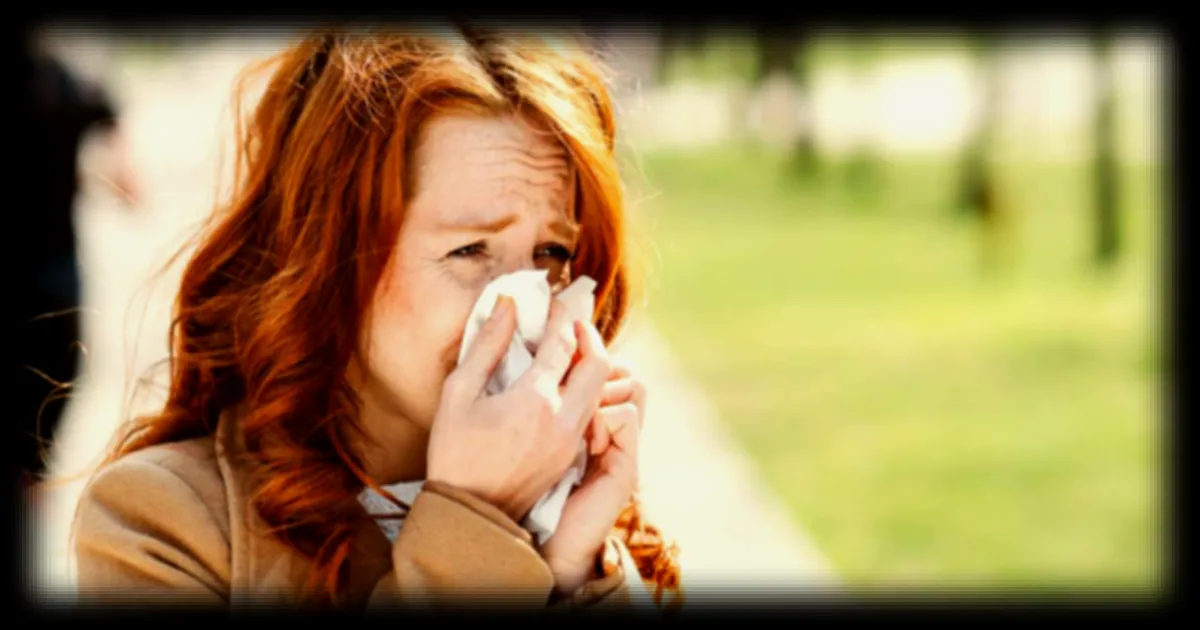 Le matcha pourrait atténuer les symptômes du rhume des foins selon une étude japonaise