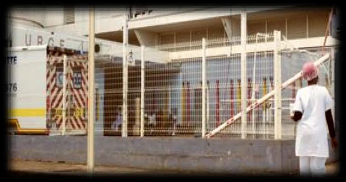 Le ministère de la Santé évalue le risque d'importation de l'épidémie d'Ebola à Mayotte
