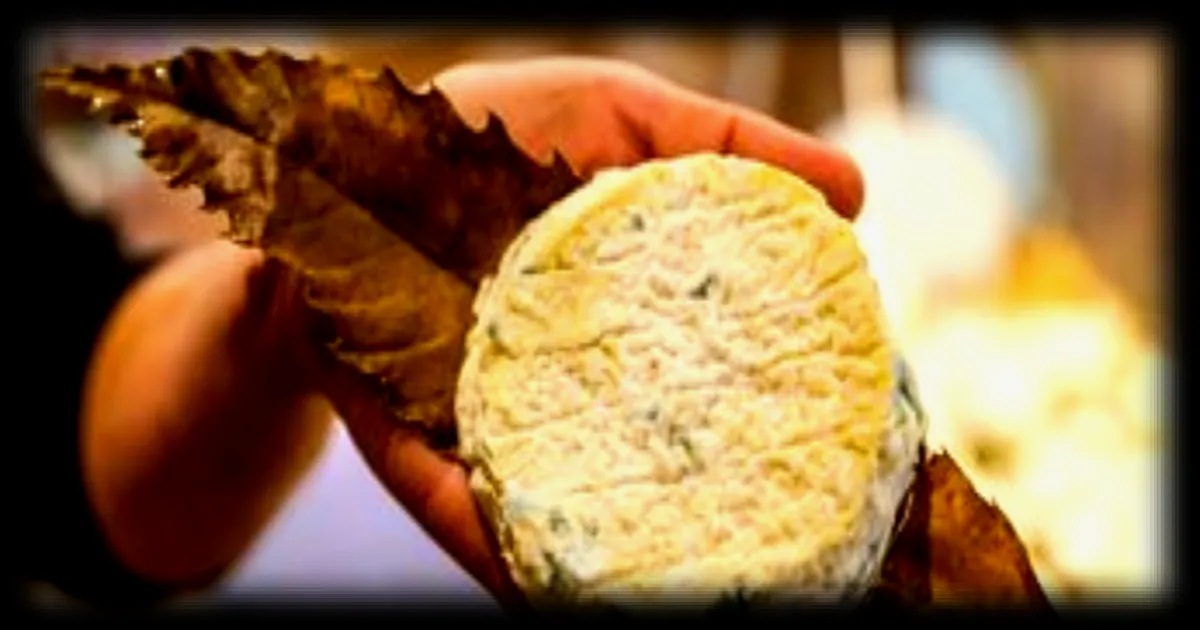 Le Mothais-sur-feuille, fromage du Poitou, obtient enfin son label AOP après des années de démarche