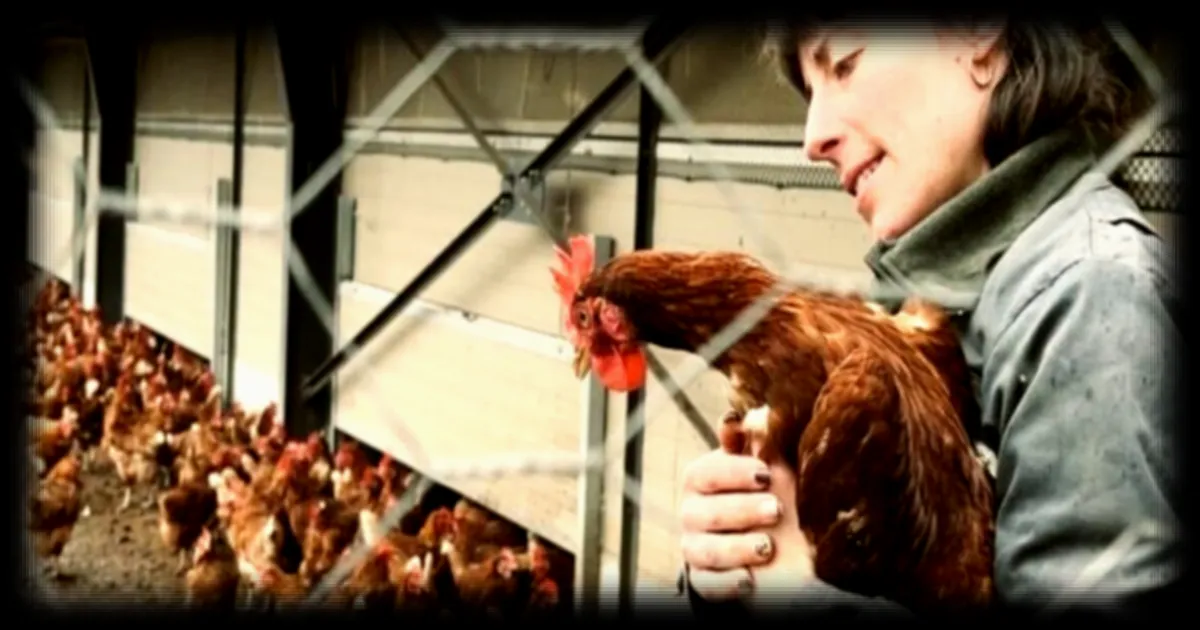 Le mouvement MeToo Agricole secoue le monde de l'agriculture en France