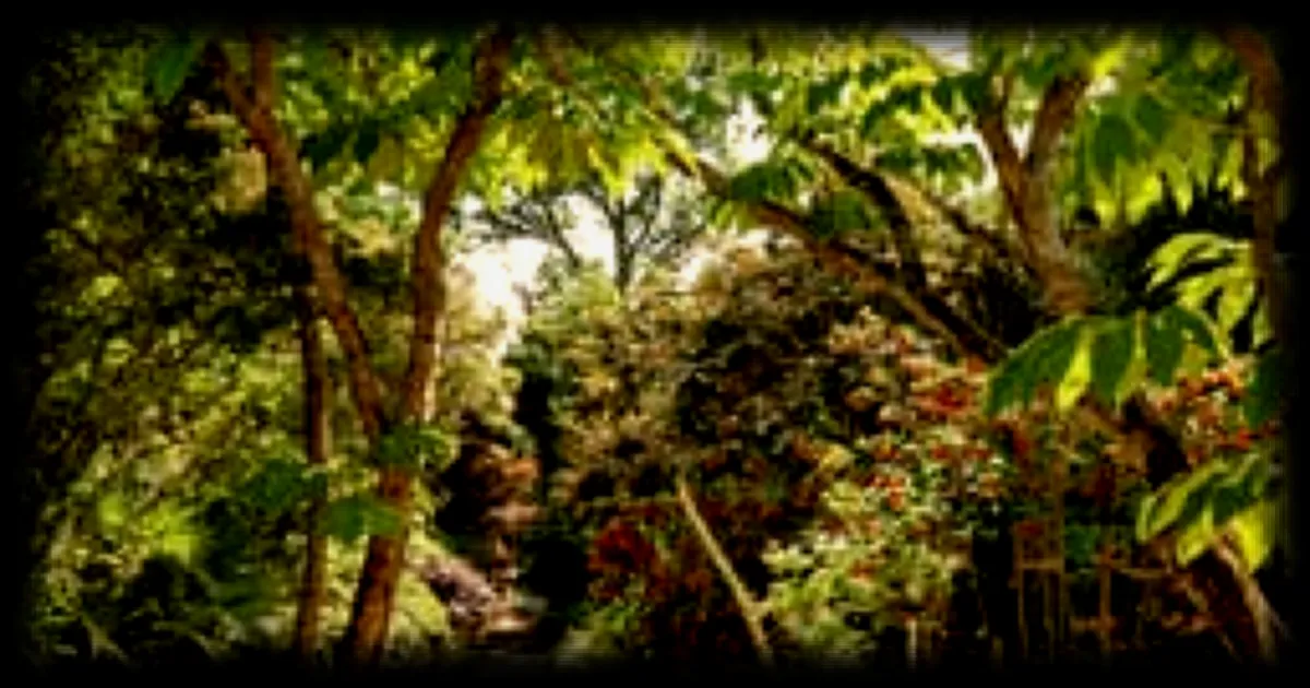 Le parc botanique de Cornouaille, un joyau végétal de Bretagne qui s’apprête à ouvrir ses portes pour les Rendez-vous aux jardins 2026