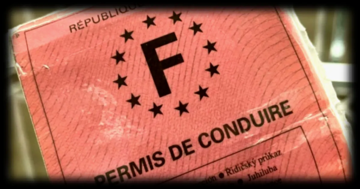 Le permis de conduire rose va bientôt disparaitre : ce qu'il faut savoir