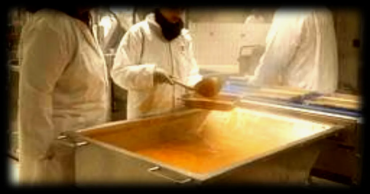 Le plastique, ses additifs et nous : une enquête de « Zone interdite » sur M6