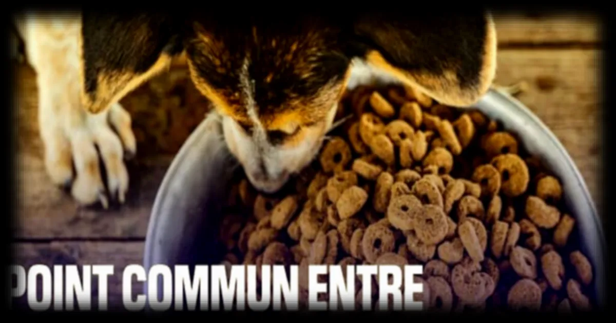 Le point commun entre les Snickers et Royal Canin ? Une question qui intrigue