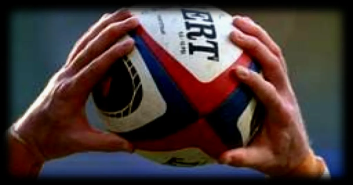 Le président du Niort RC démissionne après le placement en redressement judiciaire du club