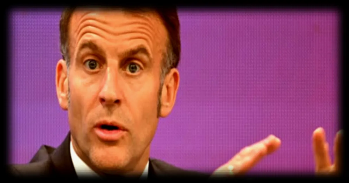 Le président Emmanuel Macron participe au sommet One Health à Lyon