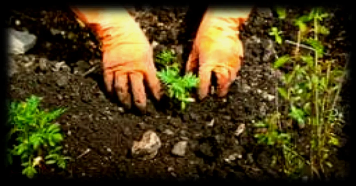 Le printemps arrive : posez vos questions sur le jardinage à notre spécialiste