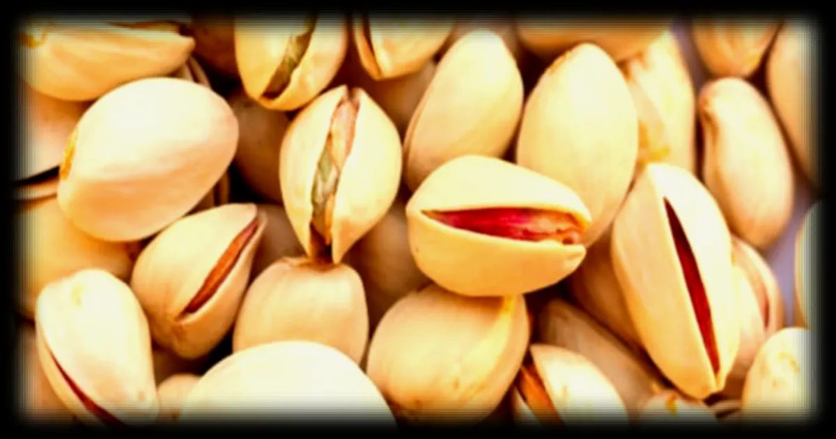 Le prix de la pistache atteint son plus haut niveau depuis 8 ans suite à la guerre au Moyen-Orient