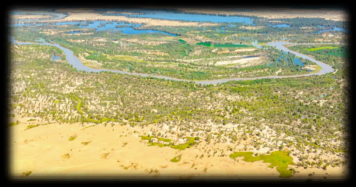 Le projet de la Grande Muraille verte en Chine contribue à la séquestration du carbone dans le désert du Taklamakan