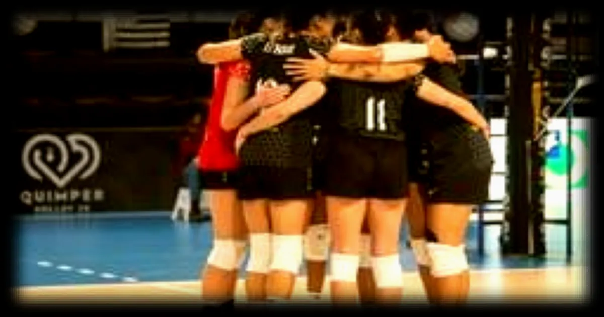 Le Quimper Volley 29 doit rebondir après sa défaite face à Valenciennes