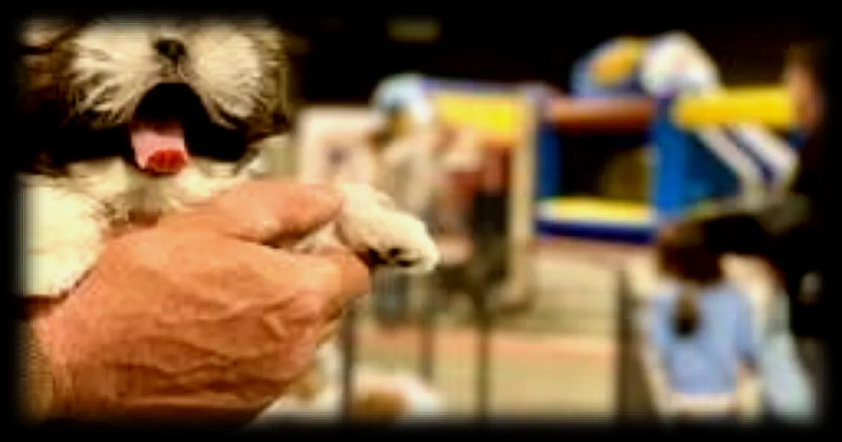 Le Salon du chiot de Cholet suscite des controverses malgré son succès